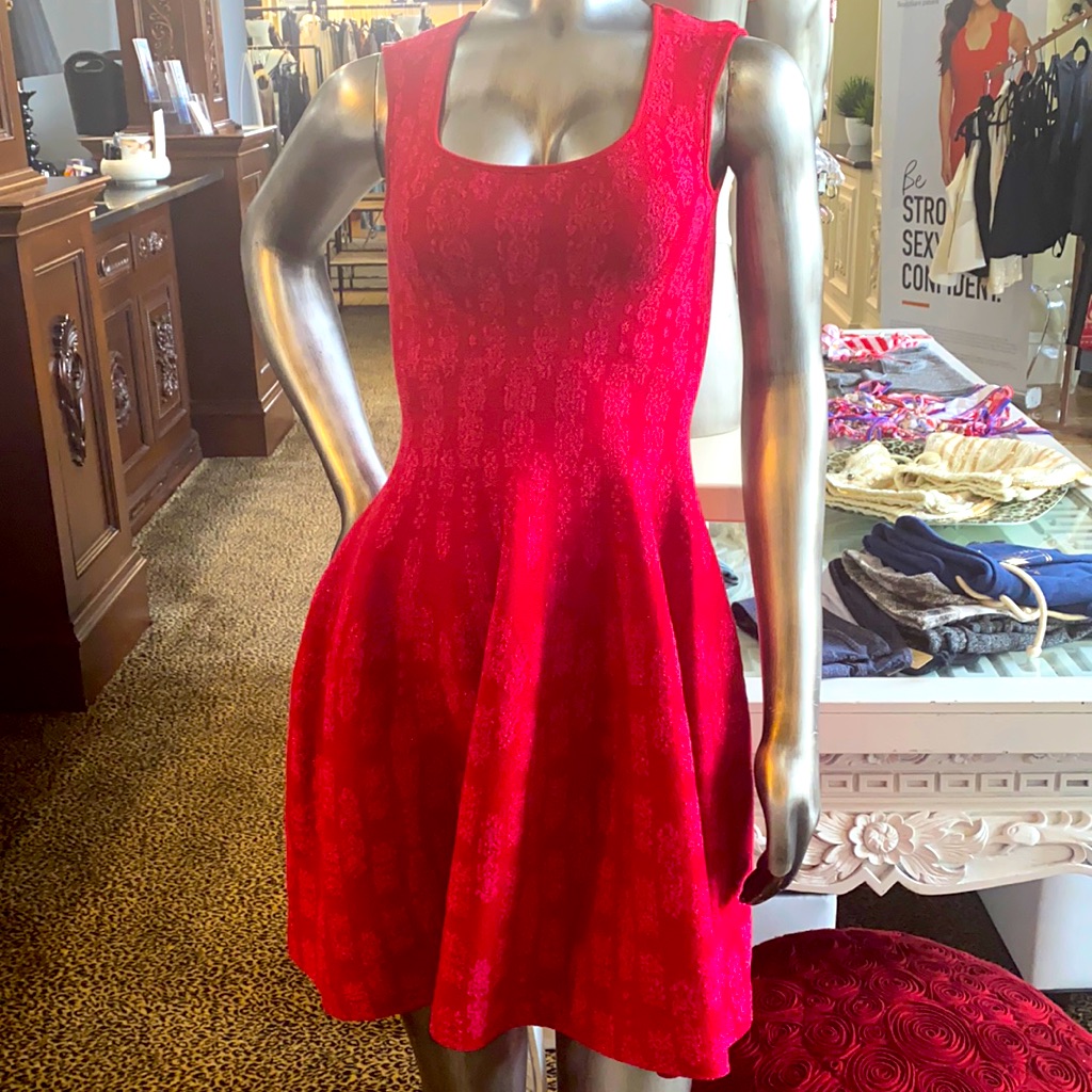 Nwt Rvn Dress